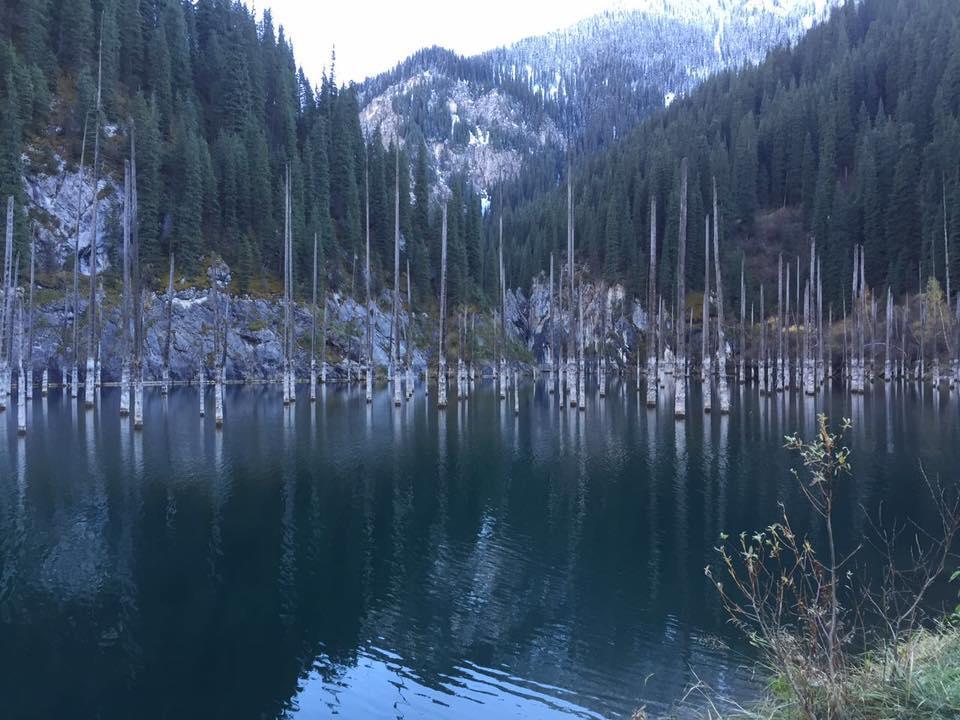 Хостел Almaty Backpackers Экстерьер фото